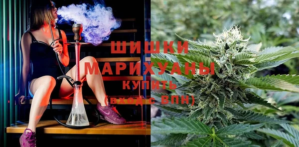 прущая мука Богданович